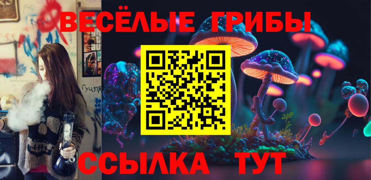 Псилоцибиновые грибы прущие грибы  Псилоцибиновые грибы GOLDEN TEACHER  Серпухов  Вход с VPN 